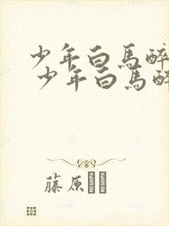 少年白马醉春风 少年白马醉春风封面