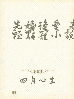 先婚后爱 老公轻点宠小说
