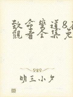 致命弯道8在线观看全集免费