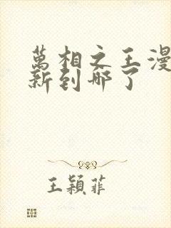 万相之王漫画更新到哪了