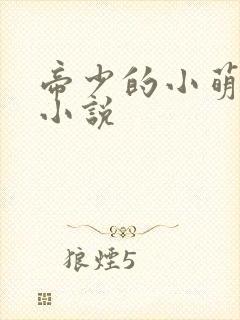 帝少的小萌妻 小说