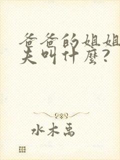 爸爸的姐姐的丈夫叫什么?