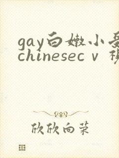 gay白嫩小受chinesecⅴ视频
