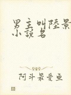 男主叫陆景霆的小说名封面