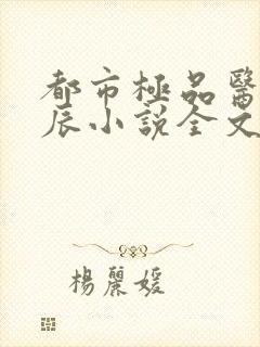 都市极品医神叶辰小说全文阅读