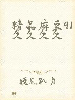 精品麻豆91久久久久久