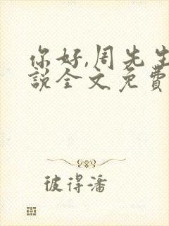 你好,周先生小说全文免费阅读封面