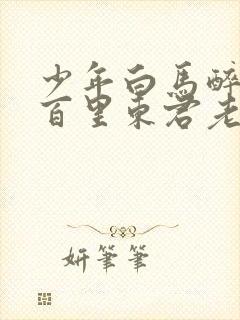 少年白马醉春风百里东君老婆封面