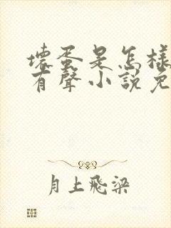 坏蛋是怎样炼成有声小说免费听