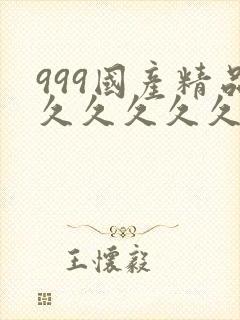 999国产精品久久久久久封面