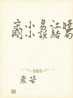 宋小易江晓萍吴刚小说结局封面