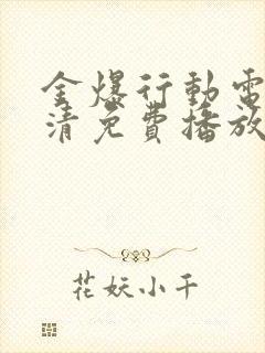 金爆行动电影高清免费播放