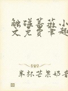 触碰蔷薇小说全文免费笔趣阁