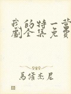 我的特一营电视剧全集免费播放封面