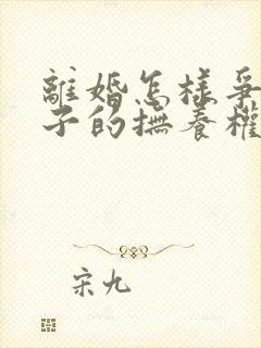 离婚怎样争夺孩子的抚养权