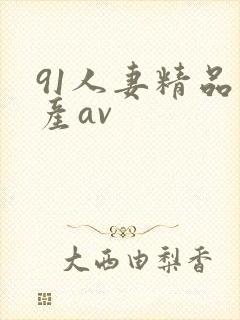 91人妻精品国产av