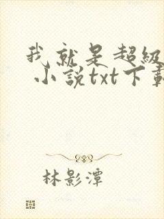 我就是超级警察 小说txt下载