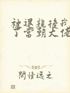 被退亲后我嫁给了当朝大佬小说封面