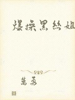 爆操黑丝姐姐封面
