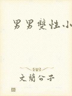 男男双性小说h封面