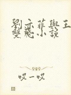 刘亦菲与王晓莉双飞小说封面