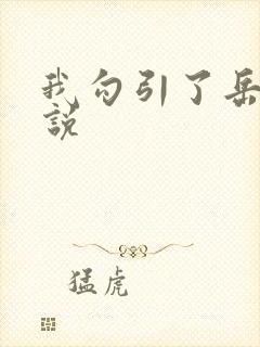 我勾引了岳母小说