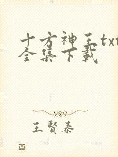 十方神王txt全集下载封面
