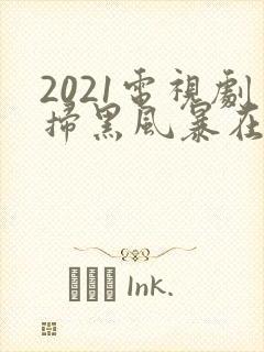 2021电视剧扫黑风暴在线观看25集