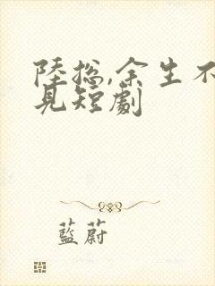 陆总,余生不再见短剧