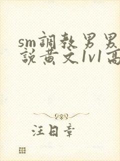 sm调教男男小说黄文1v1高h强制