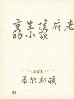 重生侯府老夫人的小说