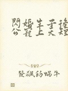 闪婚生子后被老公宠上天短剧完整版观看