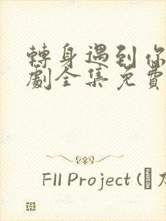 转身遇到你电视剧全集免费观看高清封面