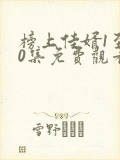 榜上佳婿1至40集免费观看