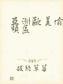 亚洲欧美偷拍视频区