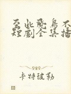 至此飞鸟不相逢短剧全集播放