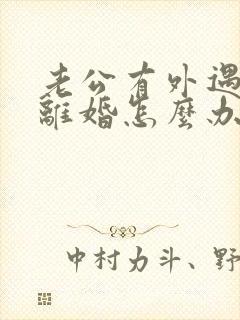 老公有外遇了要离婚怎么办封面