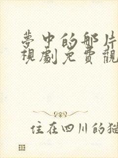 梦中的那片海电视剧免费观看高清