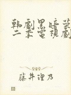 韩剧黑暗荣耀第二季电视剧汉语