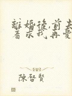 离婚后,前夫哭着求我再爱他一次小说