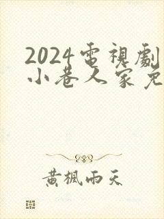 2024电视剧小巷人家免费播放