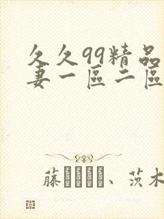 久久99精品人妻一区二区三区