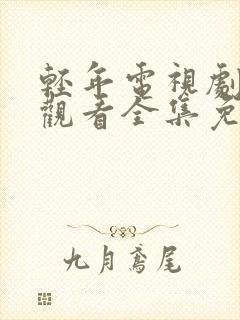 轻年电视剧在线观看全集免费播放封面