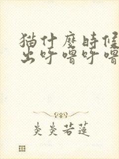 猫什么时候会发出呼噜呼噜的声音封面