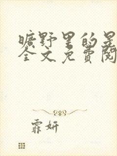 旷野里的星小说全文免费阅读