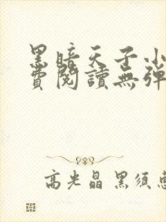 黑暗天子小说免费阅读无弹窗全文