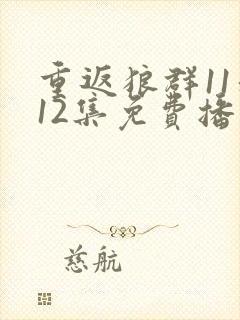 重返狼群11和12集免费播放封面