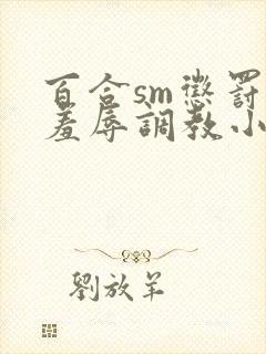 百合sm惩罚室羞辱调教小说