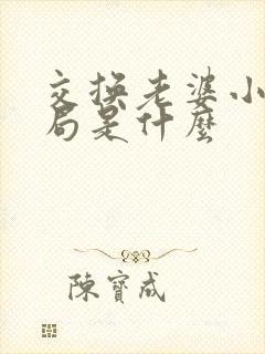 交换老婆小说结局是什么