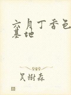 六月丁香色婷婷基地